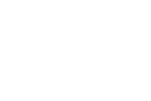 Auction Protege